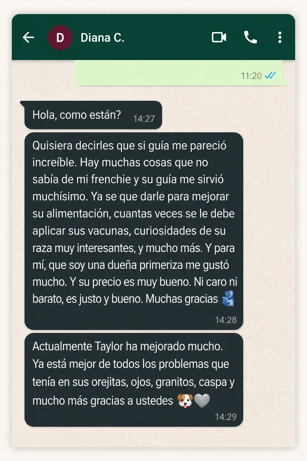 Testimonio real de WhatsApp