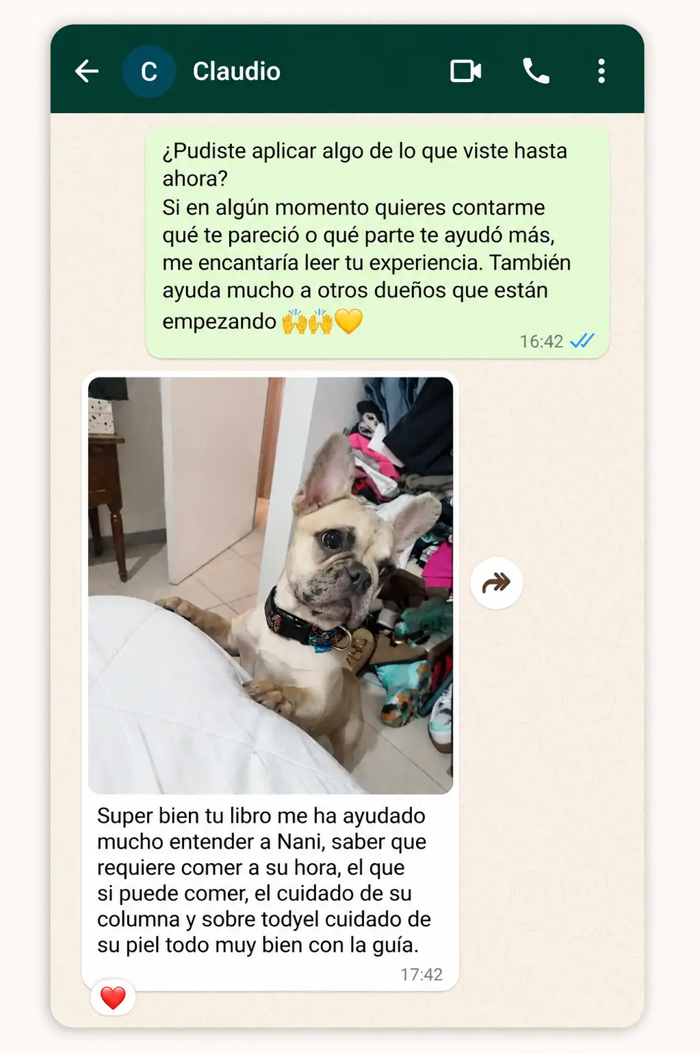 Segundo testimonio real de WhatsApp