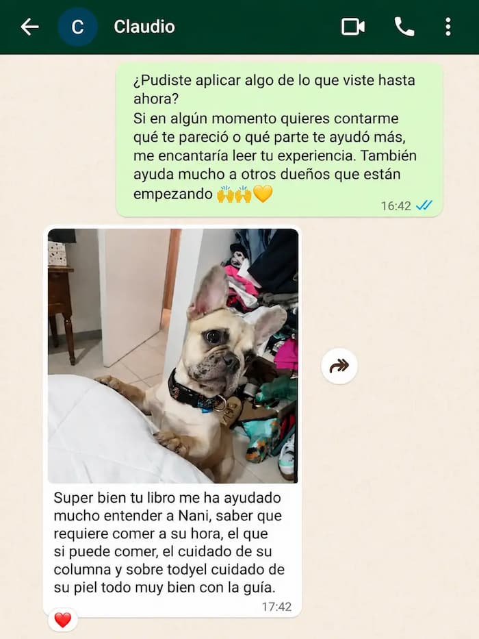 Testimonio real de cliente de Frenchie del Alma